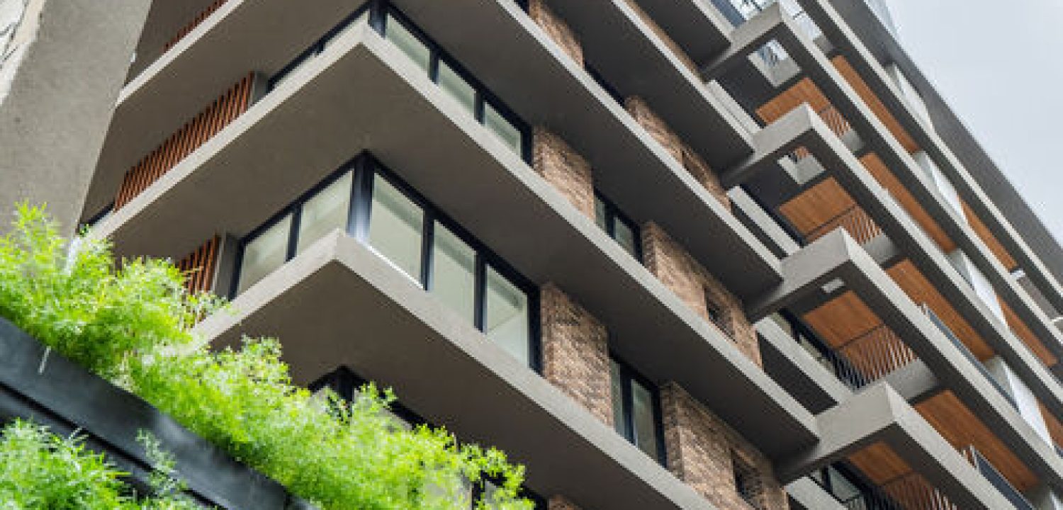 Guará-Ribó-Prime (3)