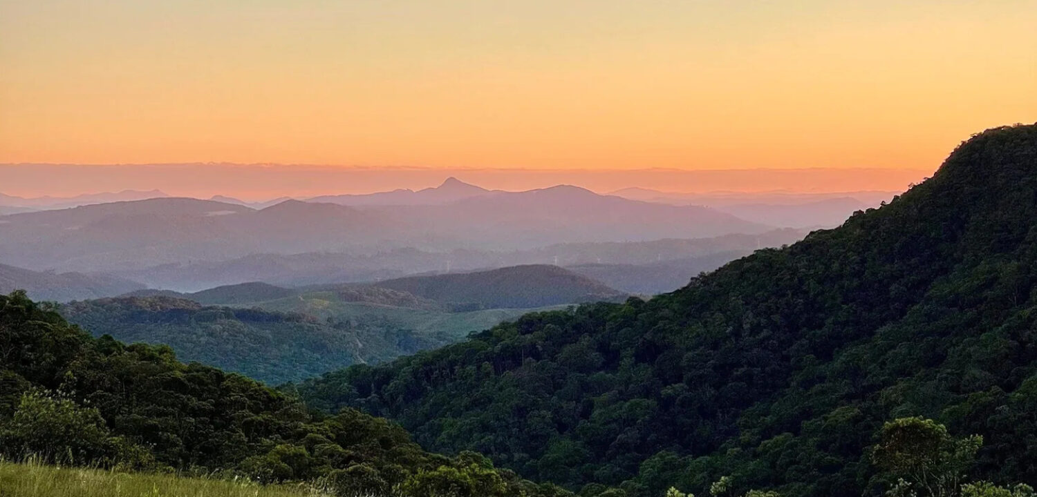 São Luiz do Purunã - 01