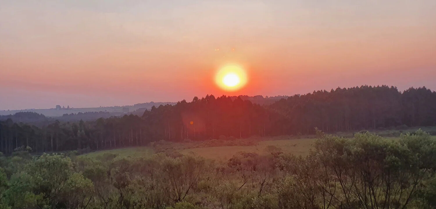 São Luiz do Purunã - 03