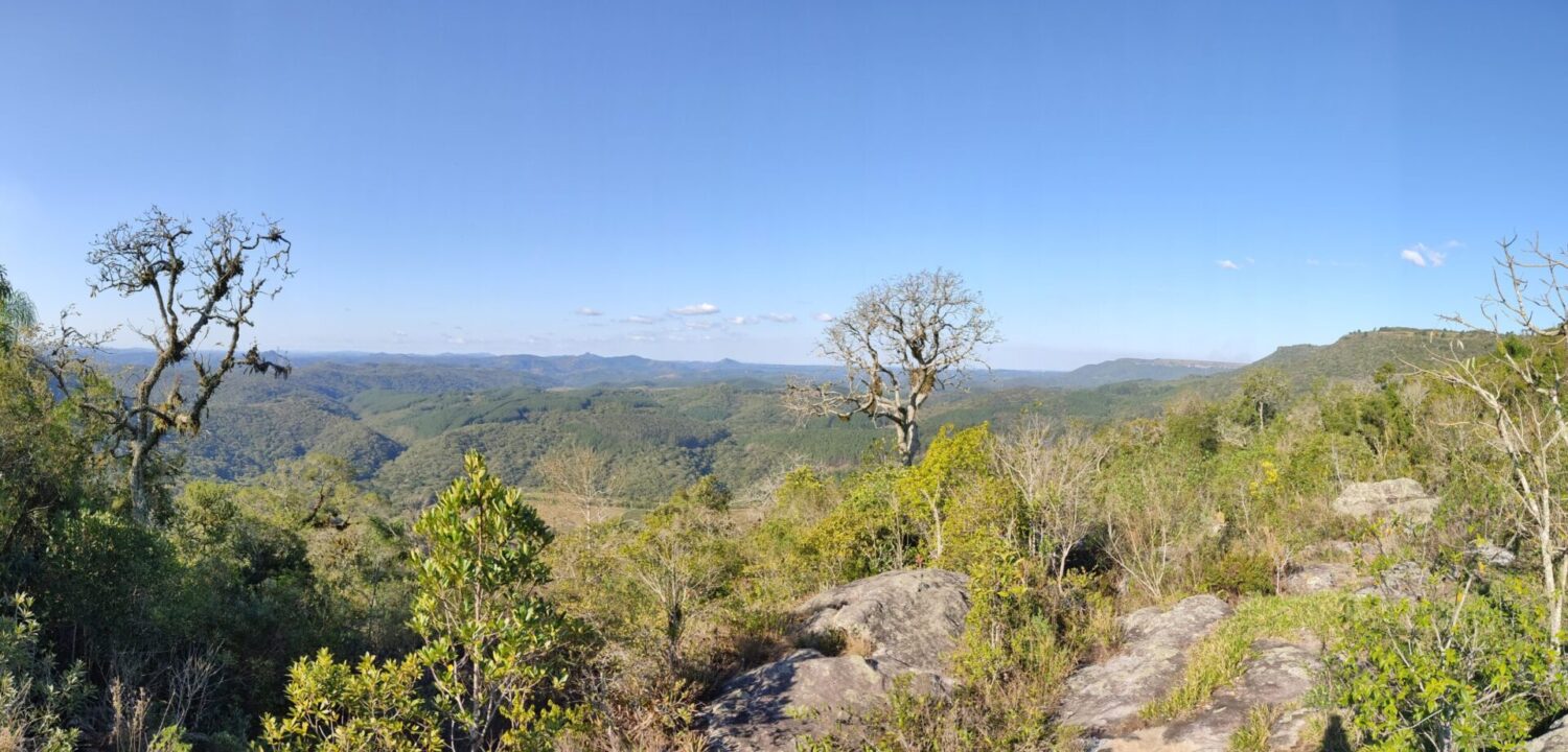 São Luiz do Purunã - 05