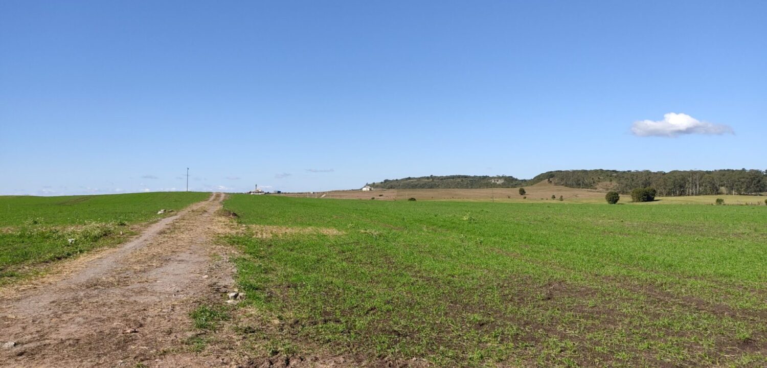 São Luiz do Purunã - 10