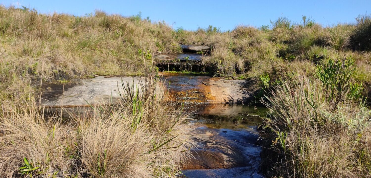 São Luiz do Purunã - 13