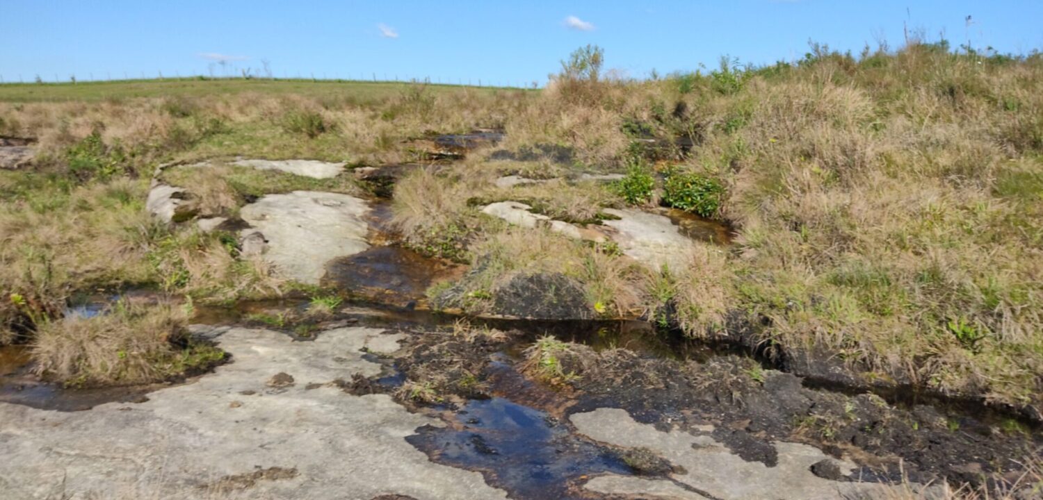 São Luiz do Purunã - 14