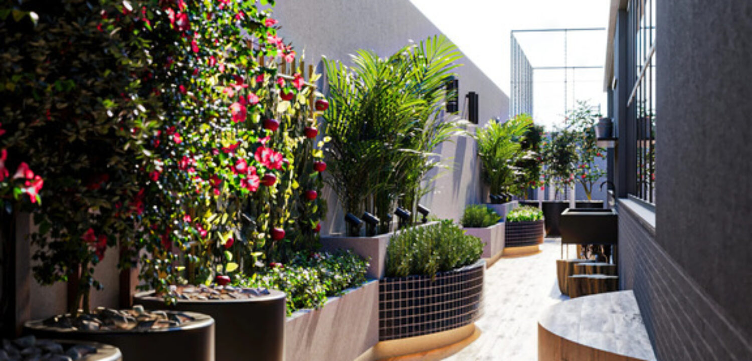 Terrasse-Infini-Ribo-Prime (8)
