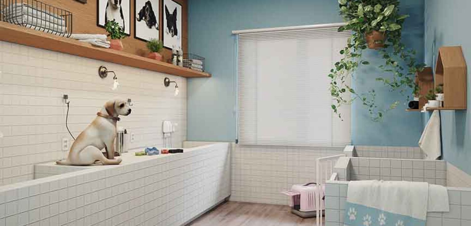 fyr-studio-piemonte-bacacheri-05-pet-care-final