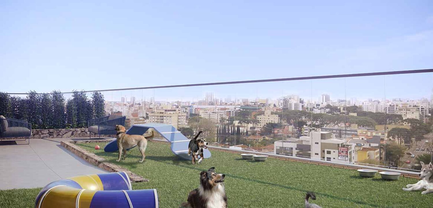pet-place-2-serra-juveve